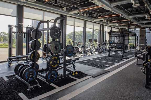 A gym with a row of weightlifting equipment.