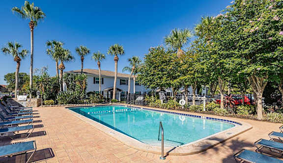 A pool surrounded by palm trees and lounge chairs.