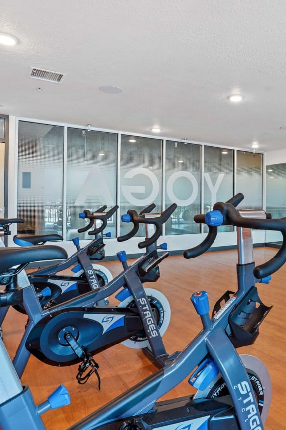 a gym with cardio bikes and a wall of windows