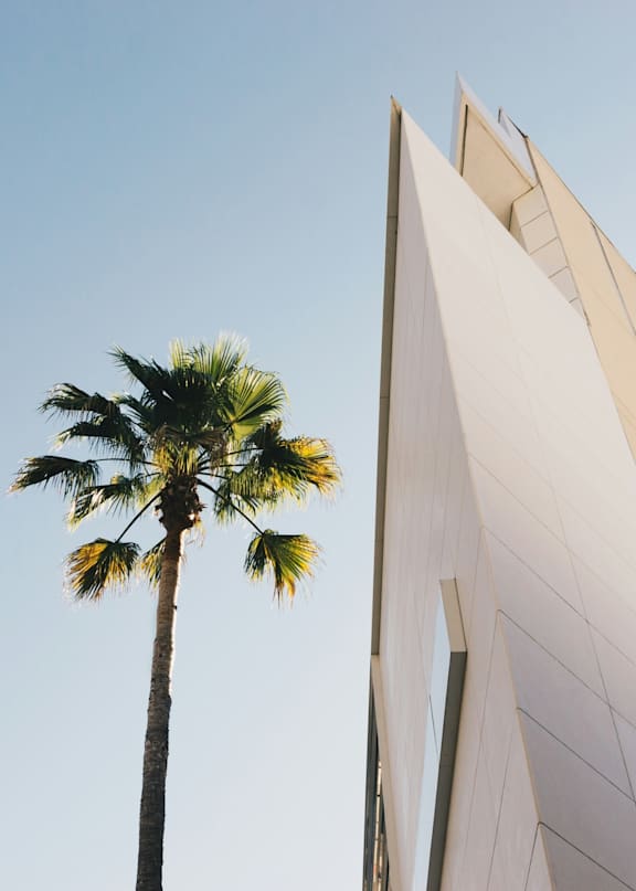 A tall palm tree stands next to a modern building.
