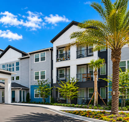 A large building with a white entrance and a palm tree in front.