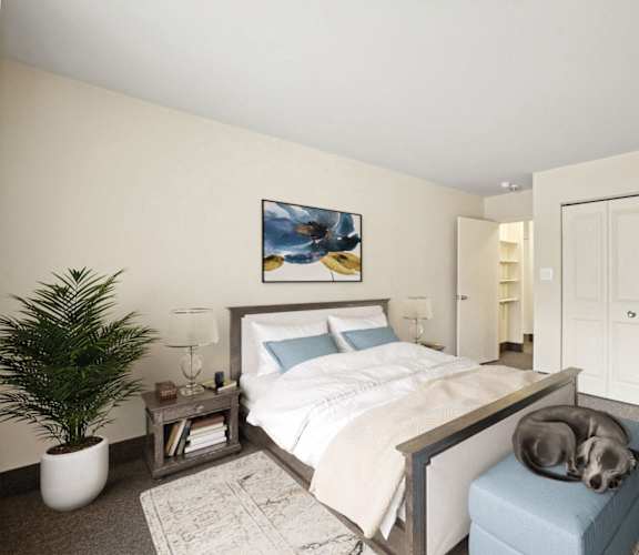 a bedroom with a bed and a dog laying on top of it