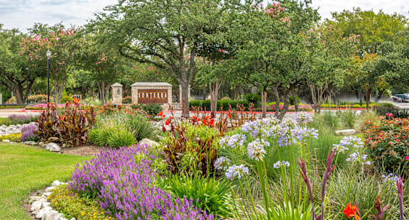 A garden with a sign that says "Fortenberry".