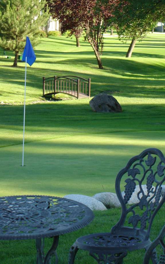 A blue flag on a golf course.