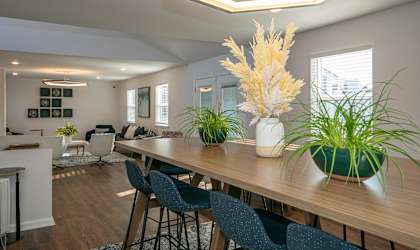 a dining room with a wooden table with blue chairs and plants