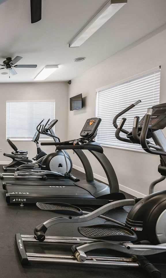 A gym with a row of treadmills and a row of exercise bikes.