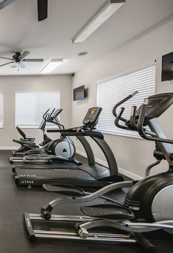 A gym with a row of treadmills and a row of exercise bikes.