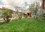 Thumbnail 32 of 41 - Apartments for Rent in West Hills CA - Topanga - Exterior of Apartment Buildings Lead to a Grassy Courtyard