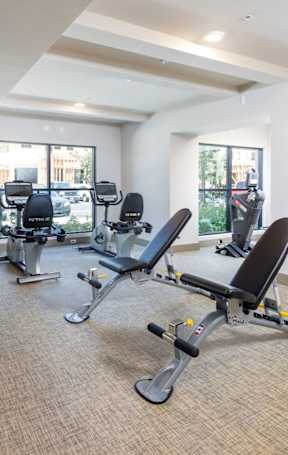 A gym with a mirror, treadmill, and exercise bike.