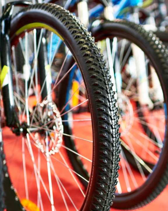 A row of bicycle tires are lined up on a red carpet at Countryside River Apartments, Illinois 60402