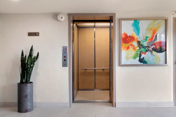 Apartments in Marina del Rey Elevator