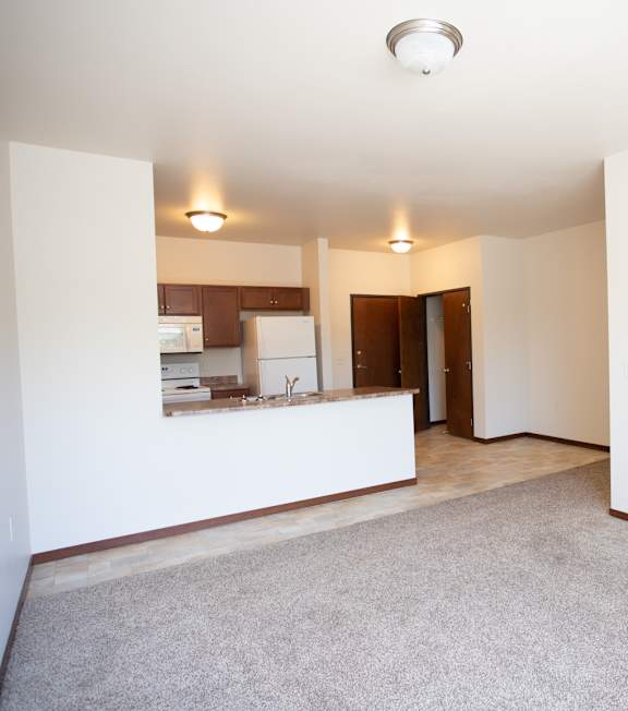 A room with a carpeted floor and a brown door.
