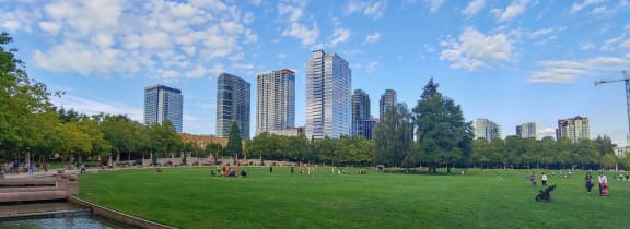 a park with a city skyline in the background