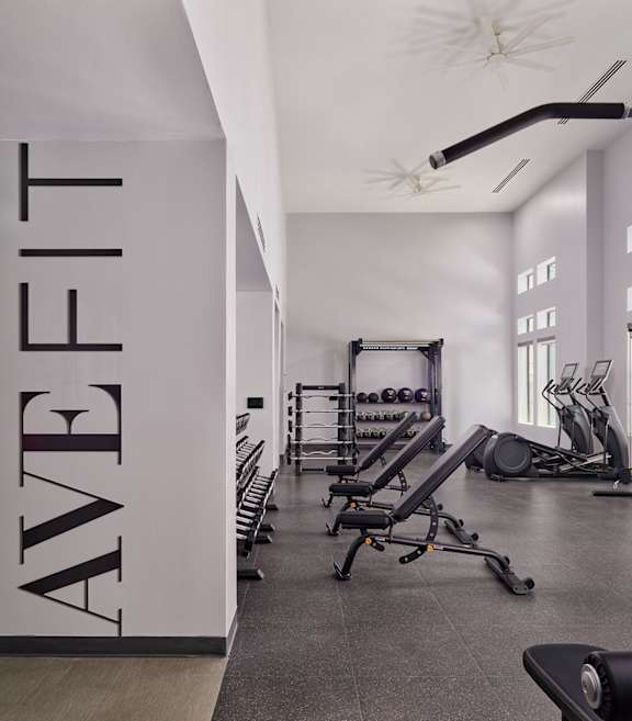 fitness center at AVE Paradise Valley