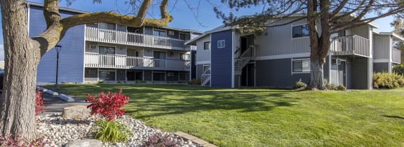 Outside sunny community with large grass lawn, trees, well-maintained landscaping and apartments behind.