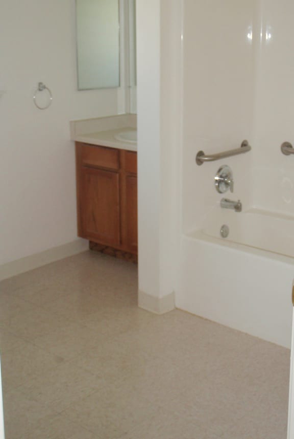 Image of sink, mirror, bathtub with support rales, and mirror
