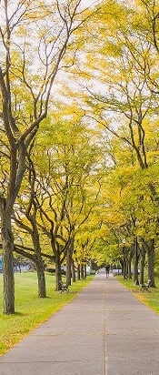 Battery Park