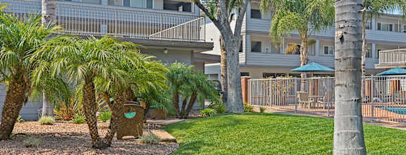 A large tree stands in front of a two-story apartment building.