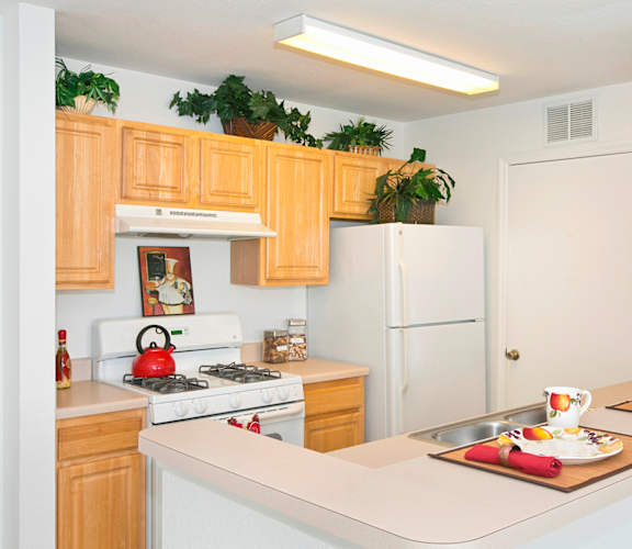 a kitchen with a white refrigerator freezer next to a stove top oven