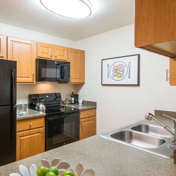 a large swimming pool with a pergola and palm trees in the background