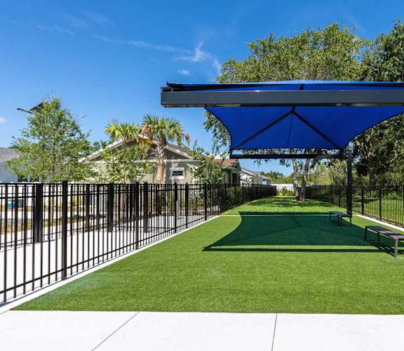A park with a blue canopy and a bench.