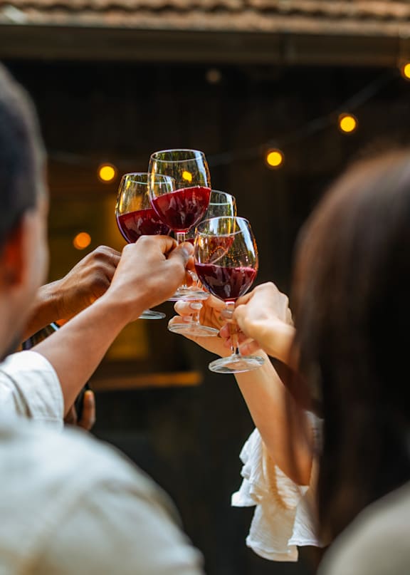 A group of people toasting with wine glasses.
