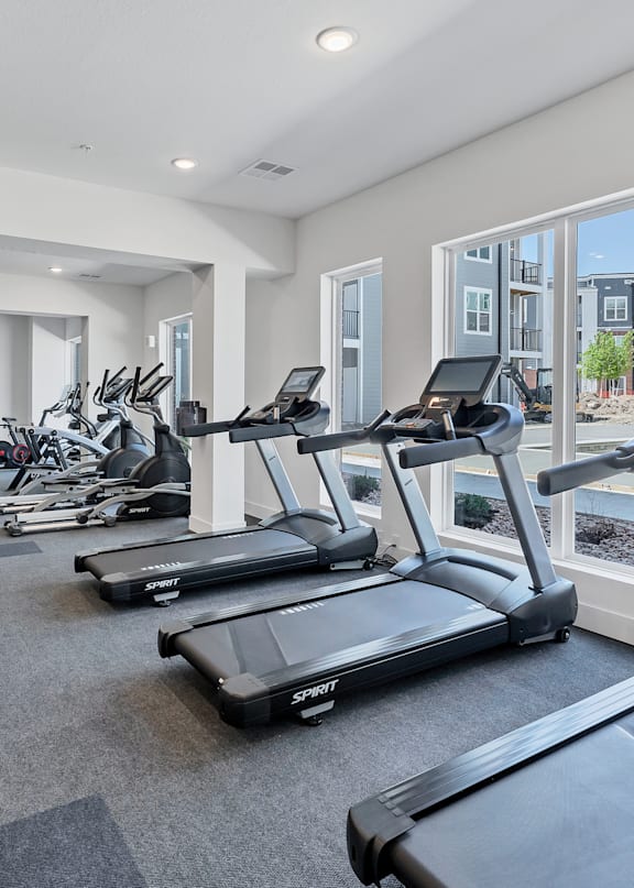 A gym with treadmills and exercise bikes.