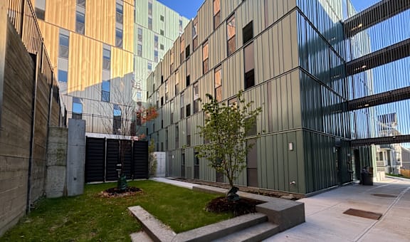 a grassy area with a tree in front of a building