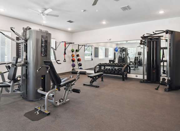 the gym is equipped with weights and cardio equipment