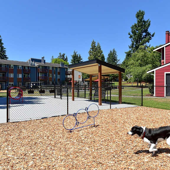 A dog is playing in a playground with a basketball hoop.