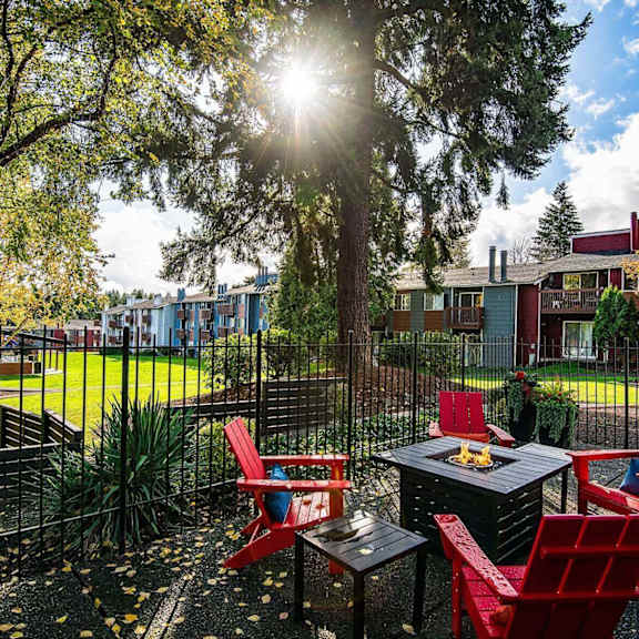 A sunny backyard with a table and chairs.