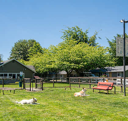 two dogs laying in the grass at a dog park