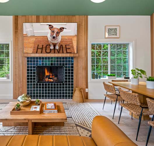 A dog is sitting in front of a fireplace in a living room. at Lakemont Orchard Apartments, Washington, 98027