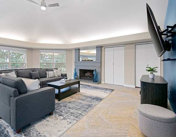 A living room with a grey couch, a coffee table, a television, and a fireplace.