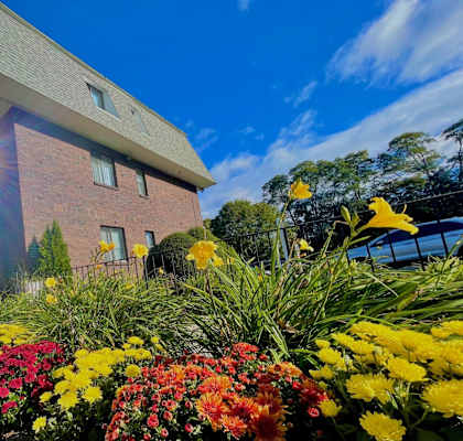 A building with a garden in front of it.