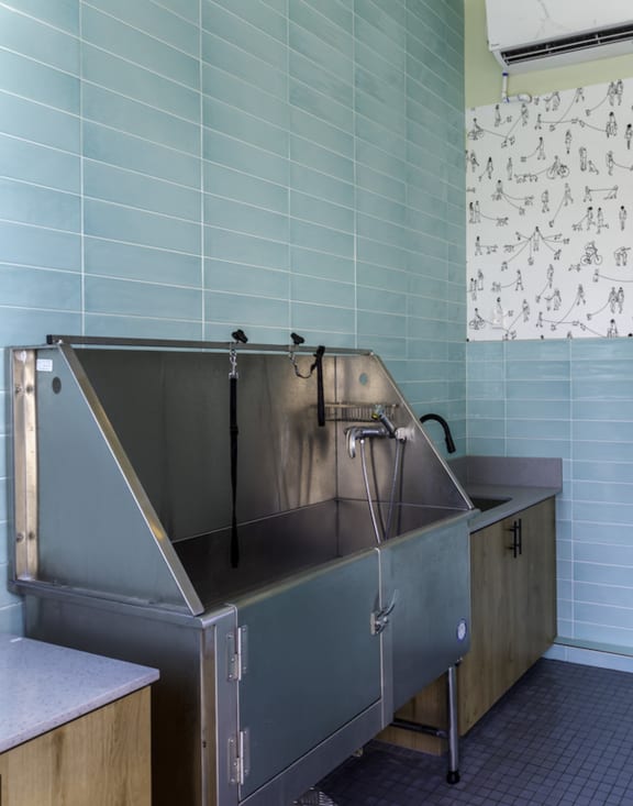 Pet Spa at Parc Ridge Apartments