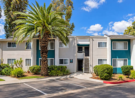 A building with a green door and a palm tree in front.