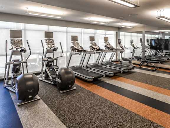 A gym with treadmills, exercise balls, and a television. at Lex and Leo at Waterfront Station, District of Columbia