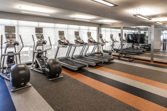 A gym with treadmills, exercise balls, and a television. at Lex and Leo at Waterfront Station, District of Columbia