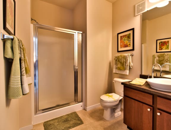 a bathroom with a shower and a sink and a toilet  at Aventura at Richmond, St. Peters, MO
