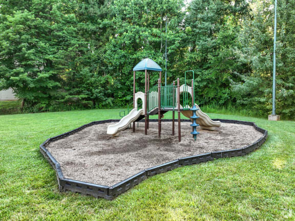 a playground with a slide in the middle of a yard