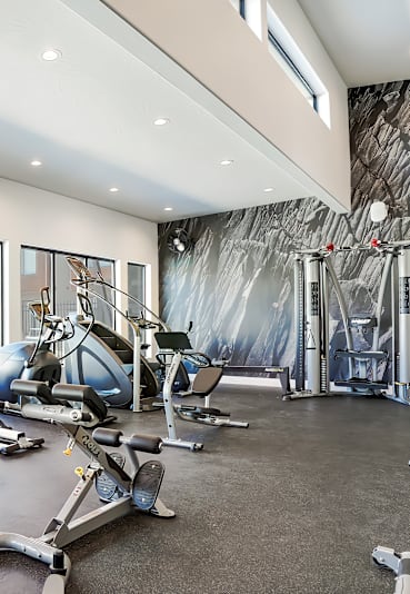 A gym with a variety of equipment including a rowing machine.