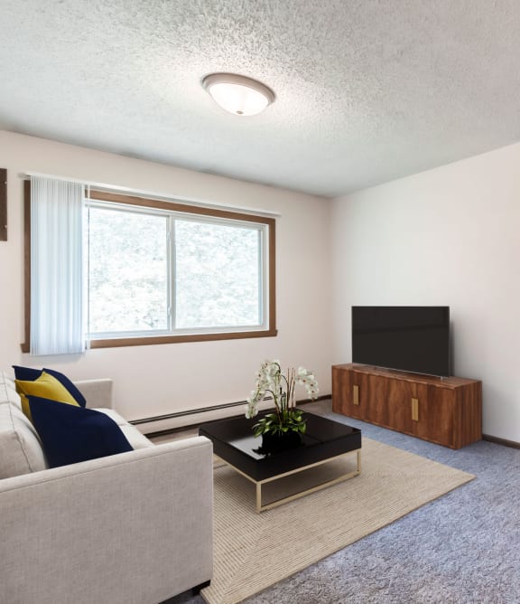 Bismarck, ND Hannifin| Living Room