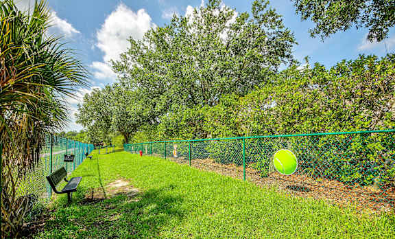 Dog Park