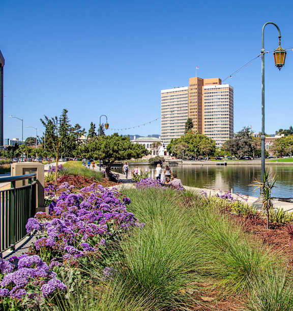 A park with a lake and a person walking on the path.