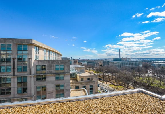 Rooftop view at Potomac Park