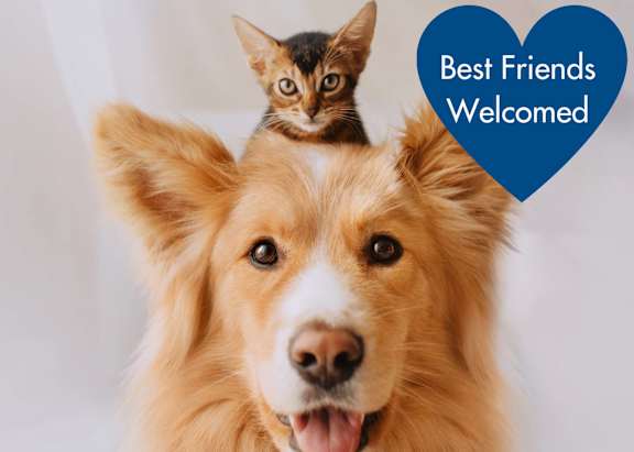 A cat sitting on the head of a dog with a heart and text saying "Best Friends Welcomed". at Vintage Raleigh West Apartments, Raleigh, NC