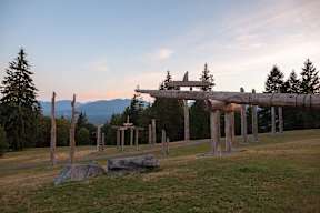 A wooden structure in a grassy field with trees in the background.