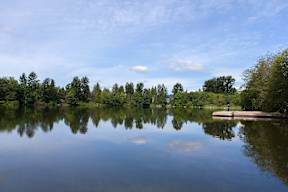 A serene lake with a dock and trees in the background.