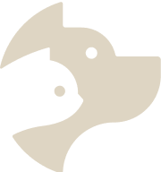 a cutout of a fish with a white